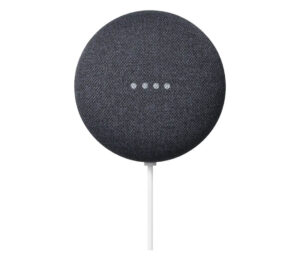 Google Nest Mini