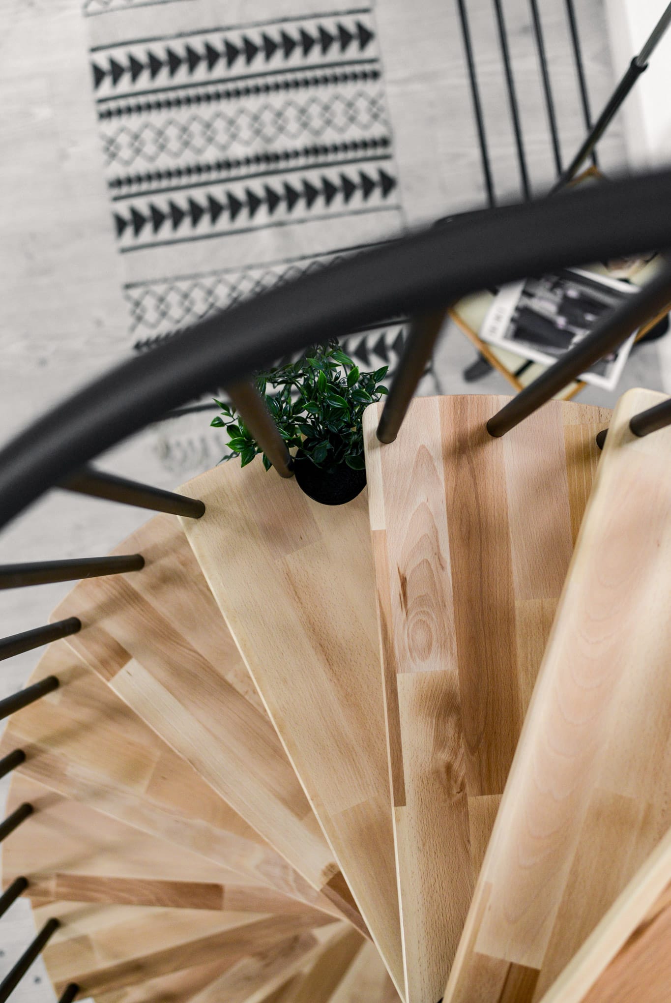 Berlin_Buche_Schwarz-10