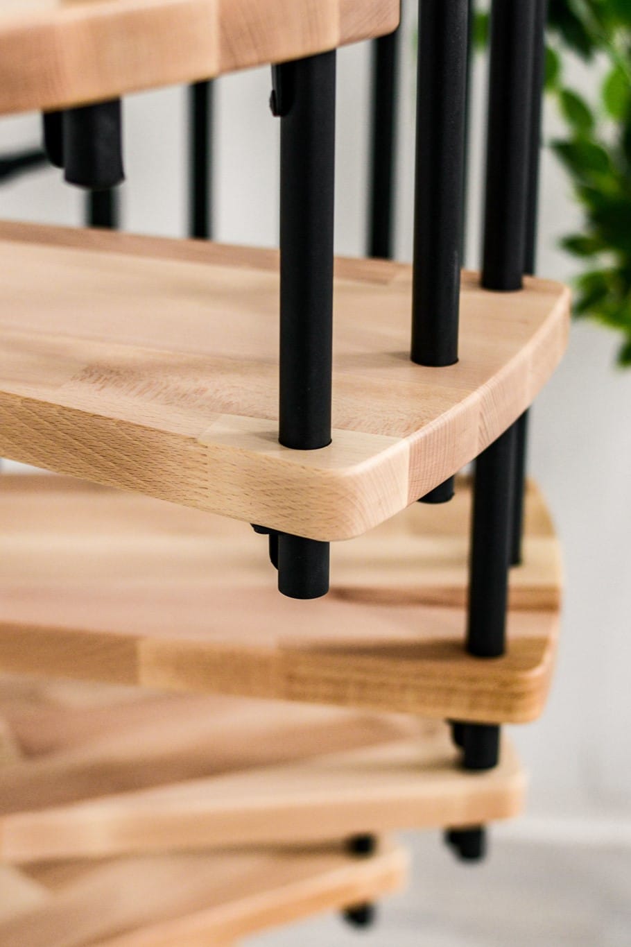 Berlin_Buche_Schwarz-20