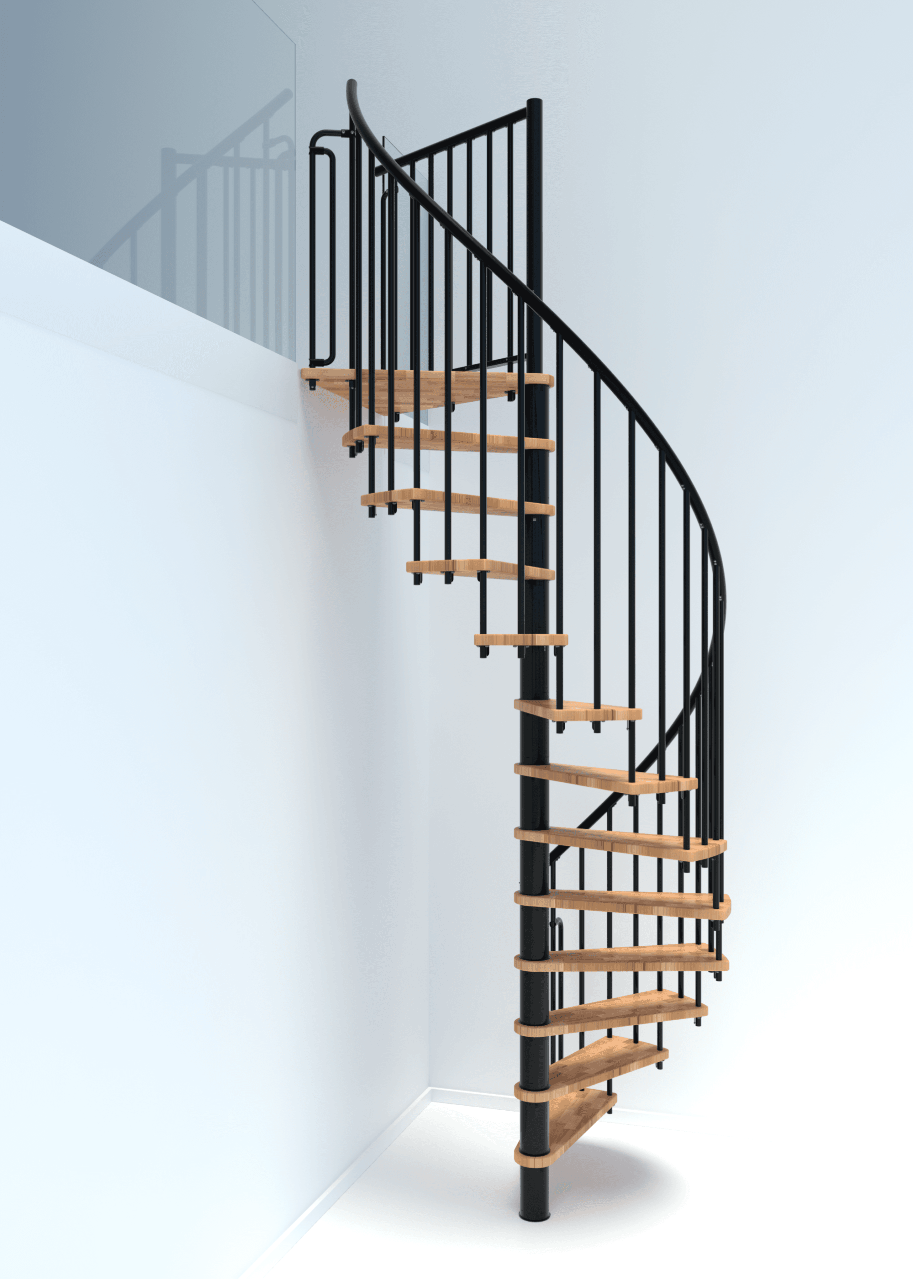 Berlin_Buche_schwarz-2