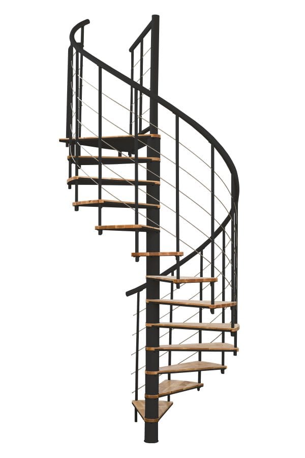 Fusion_Buche_schwarz_freigestellt-600×899