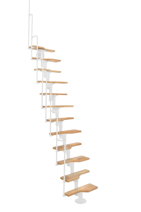 Twister_Buche_weis_freigestellt-600×900