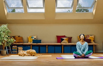 MHL la prețul de 10 lei