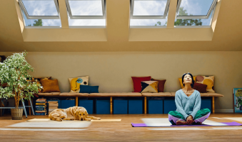 MHL la prețul de 10 lei